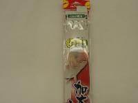 加太・泉南アジ五目3本3-2