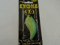 イヴォーク2.0#14ビワコチャート