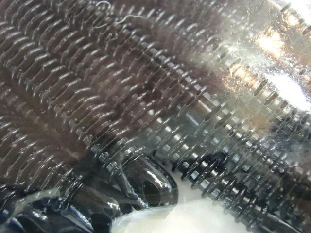 ライブインパクト3"#001ブラック