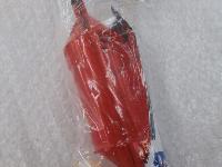 サニーカゴLアルファー