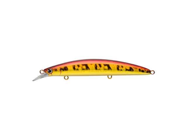 魚道130MD#HG13-106アカキン