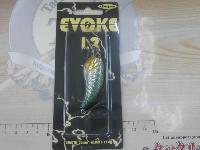 イヴォーク1.2#01ケタバス