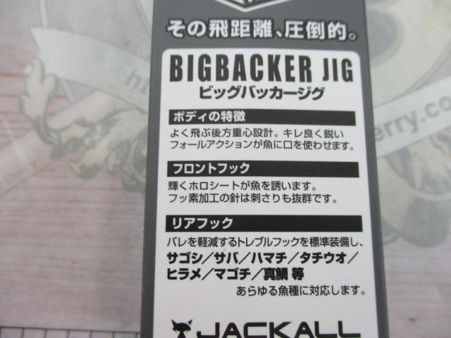 ビッグバッカージグ30gシラスシルバー/マグマウェーブホロ