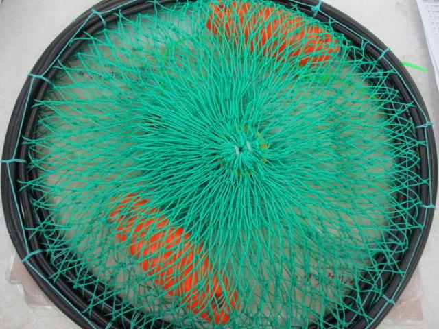 特価ソフトスカリ40×3段