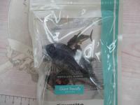 アクアフィッシュミニモデルロウニンアジ