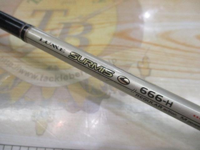 ラグゼサーミス 666H