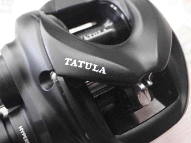 24タトゥーラ TW 100XH