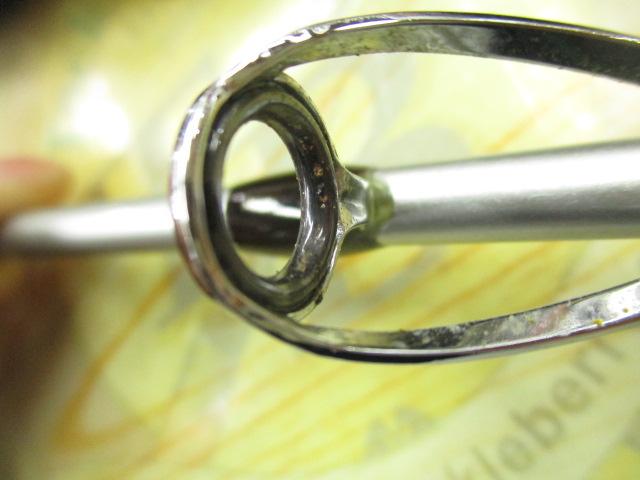 リーディングエッジパラボライト200