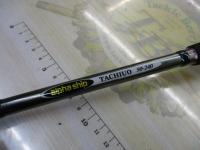 アルファシップタチウオ50-240