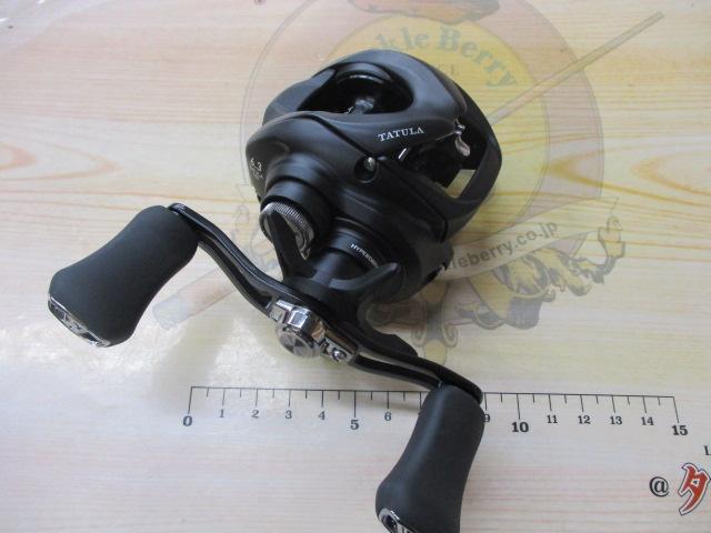 24タトゥーラ TW 100