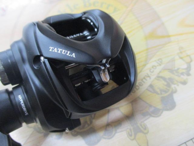 24タトゥーラ TW 100