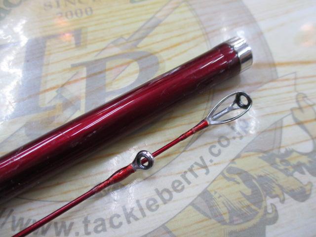 ベイリアテンヤタチウオ 240