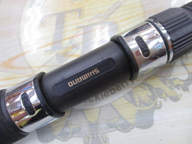 ベイリアテンヤタチウオ 240