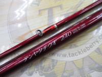 ベイリアテンヤタチウオ 240