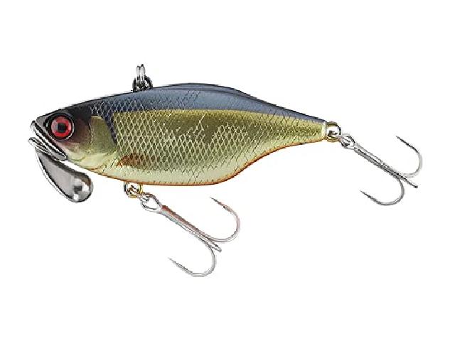 TN/50トリゴンシャンパンゴ-ルドシャッド