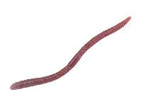 フリックシェイク3.8"2トーンドバミミズ