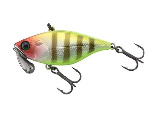 TN/38トリゴン野池ピエロ