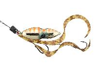 鉛式ビンビンスイッチ80gオレンジゴールド