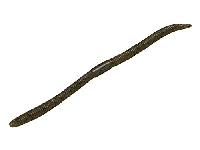 フリックシェイクサイトマジック4.8"グリーンパンプキンペッパー