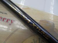 ネッサエクスチューン S108M+