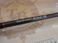 スーパーブロンズバッグ アリヴェール69 ダンス