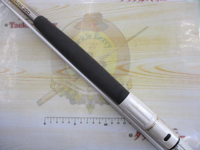 AWアドバイザーPMILイカ 電動乗調子250