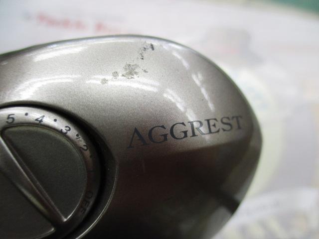 アグレスト 100H