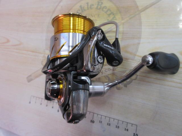 13セルテート 1003