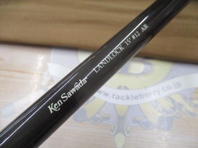 ケンサワダAR ランドロック 15'#12 緑文字