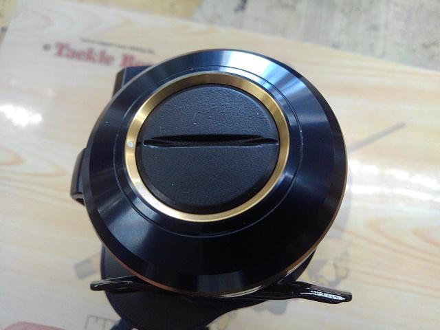DAIWA（釣り） ダイワ 21 ソルティガ IC 300HL-SJ (左ハンドル