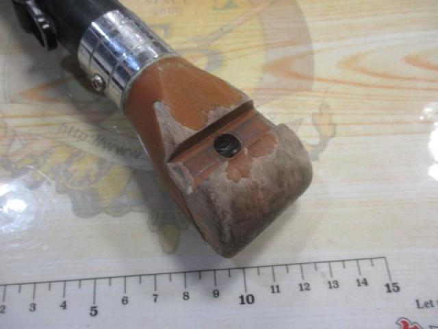 がま石レギス H54