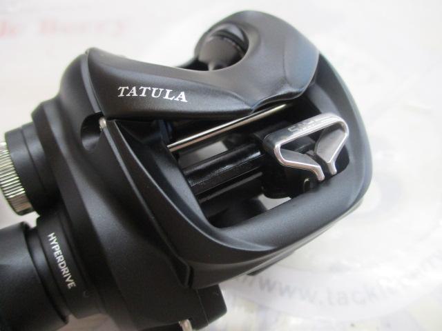 24タトゥーラ TW 100