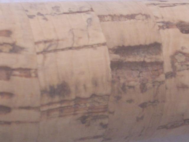 エンターテナーXS 1103L