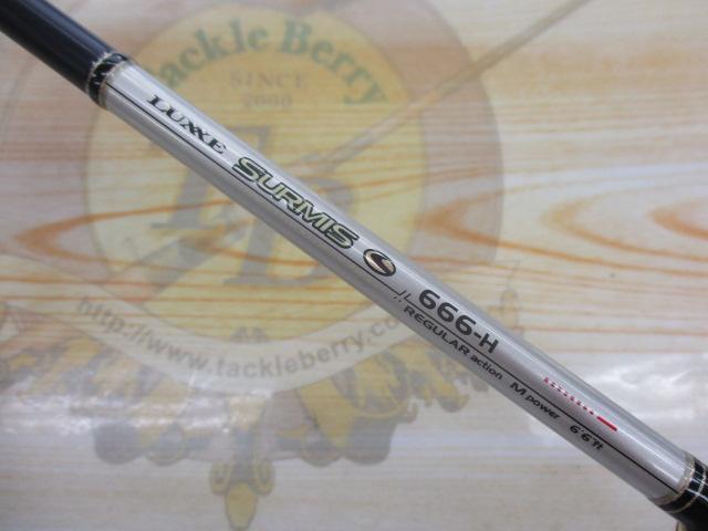 ラグゼサーミス 666H