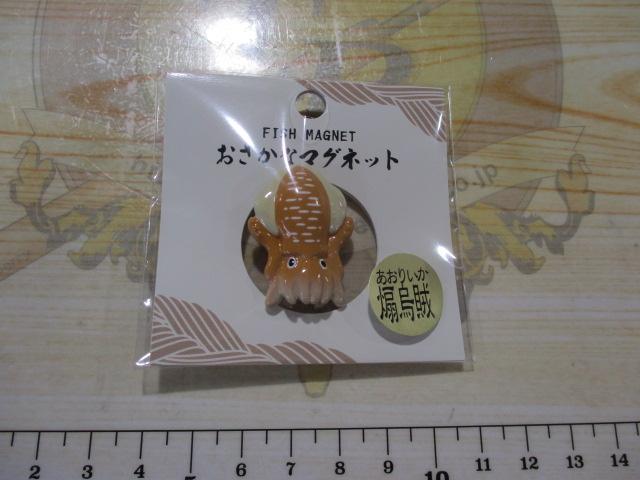 おさかなマグネットアオリイカ