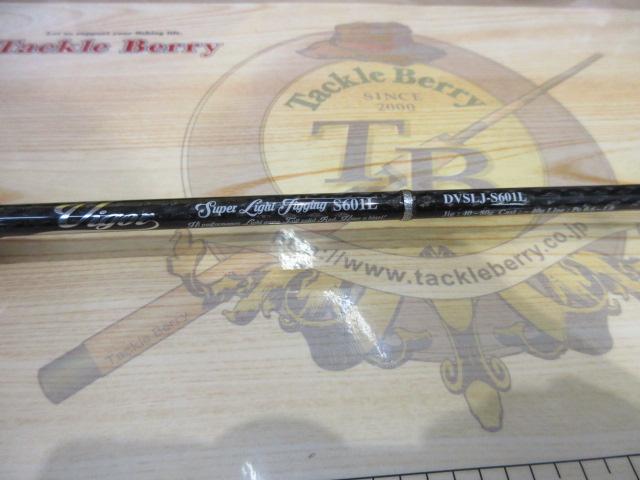 ヴィガー DVSLJ-S601L