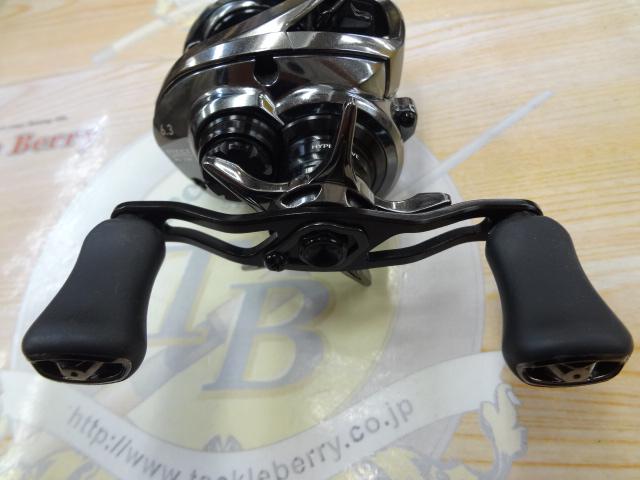 スティーズリミテッド SV TW 1000