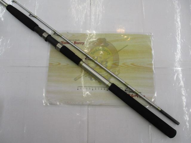 アルティスト船イカ200