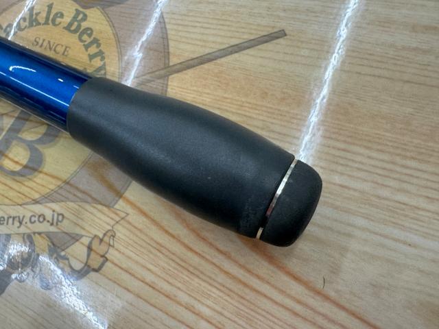 サーフリーダーEVSF 405CX