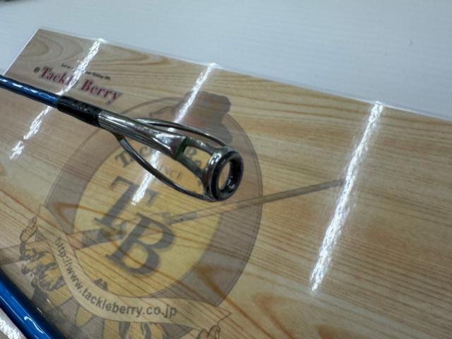 サーフリーダーEVSF 405CX