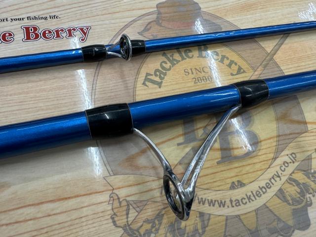 サーフリーダーEVSF 405CX