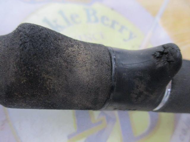 リーディング-X マダイ 300