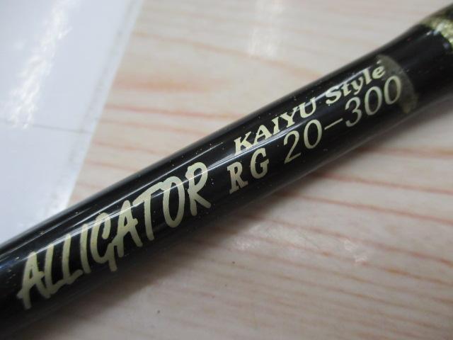 カイユウスタイル RG 20-300