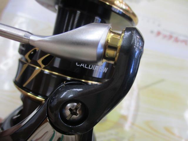 22カルディアSW 10000-H