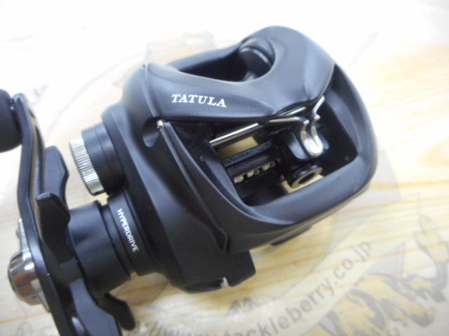 24タトゥーラ TW 100