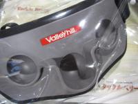 マルチギンバルベルト