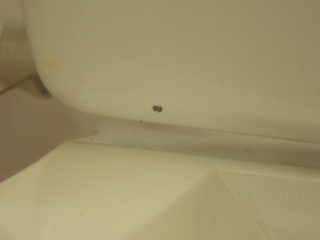 ワカサギマチックプレミアムセットB