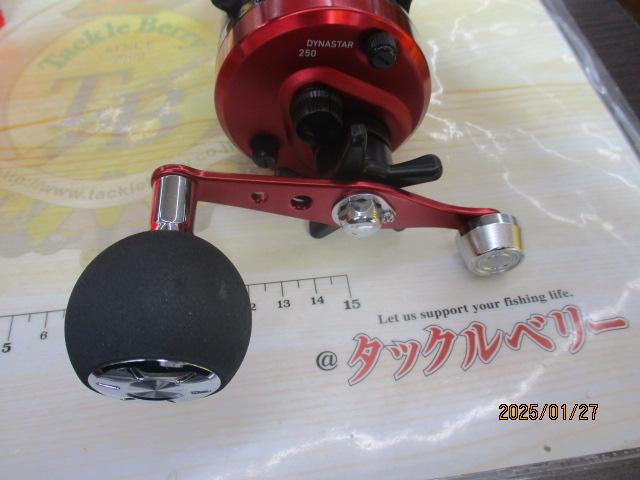 17ダイナスター 250