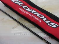 16ポイズングロリアス 263L-S