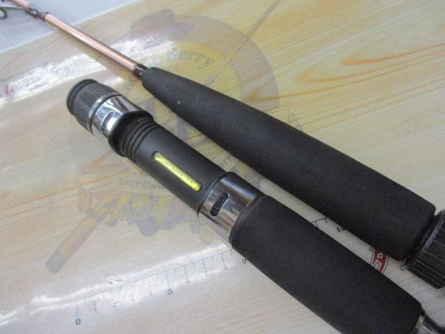 リーディング-X ネライ 210S